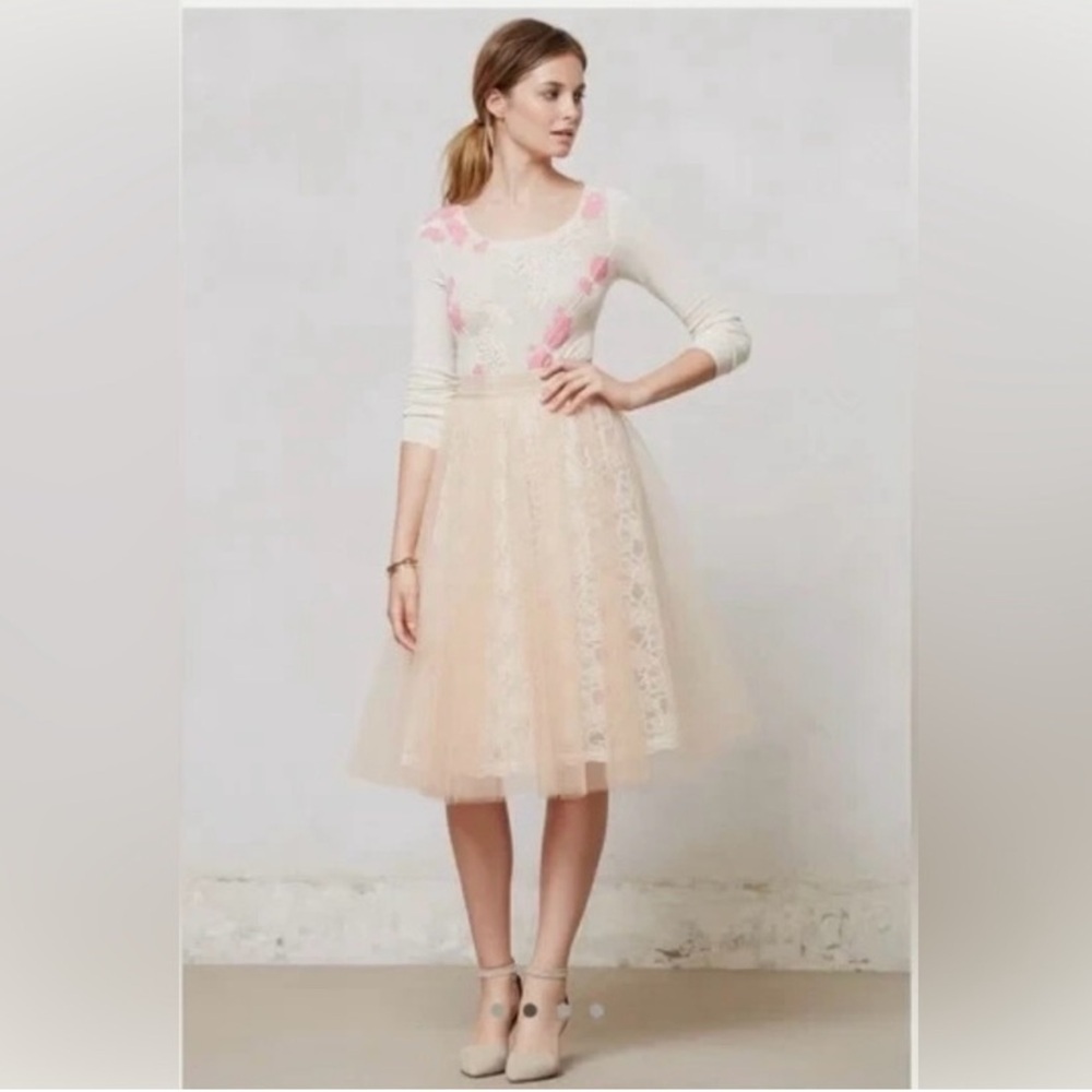 Alexandra Grecco Tulle and Lace Midi Skirt